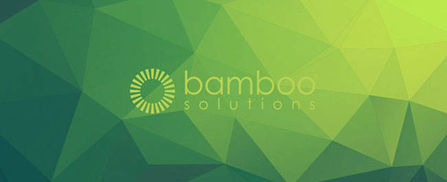 Bamboo Solutions Appoints Michael Schwien as New Chief Financial Officer