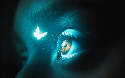 Office 365: The Butterfly Effect