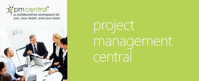 Bamboo Solutions Releases SharePoint 2010-Compatible Project Management Application