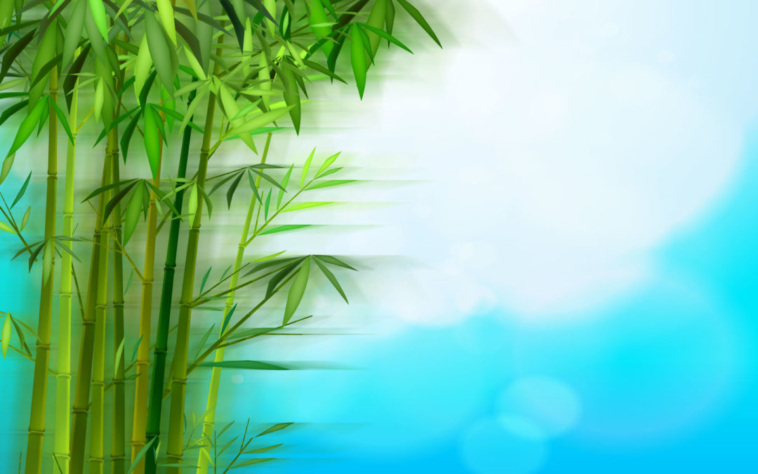 Shaking the Bamboo Tree: How Bamboo uses code-elimination techniques to make code more efficient