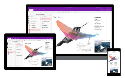 What is Microsoft OneNote? – Uses & Software Guide