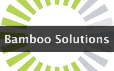 Washington, DC-based MindShare Selects Bamboo Solutions for its 2019 Cohort